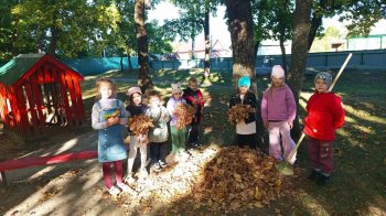 Трудовая деятельность в ДОУ